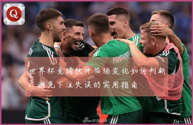 世界杯竞猜软件临场变化如何判断,避免下注失误的实用指南