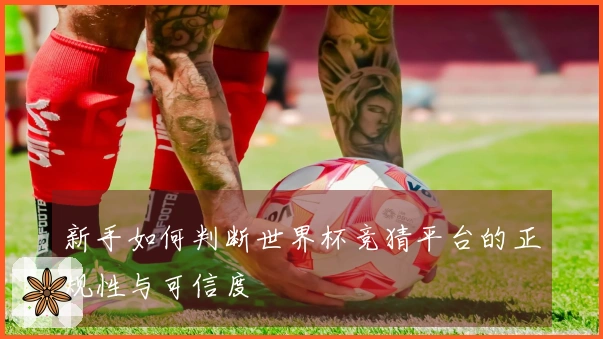 新手如何判断世界杯竞猜平台的正规性与可信度