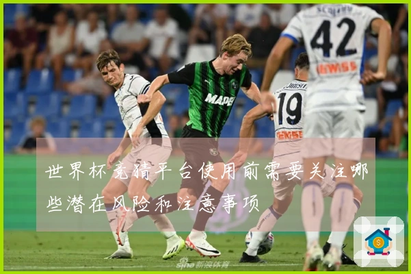 世界杯竞猜平台使用前需要关注哪些潜在风险和注意事项
